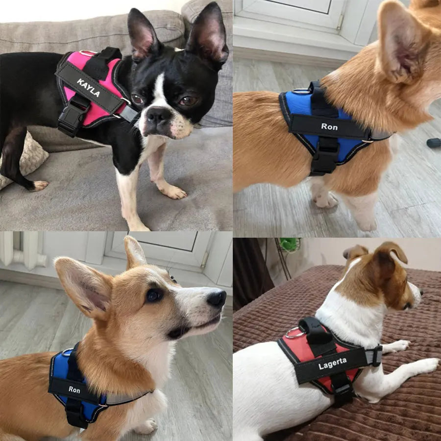 Reflective Pet Harness