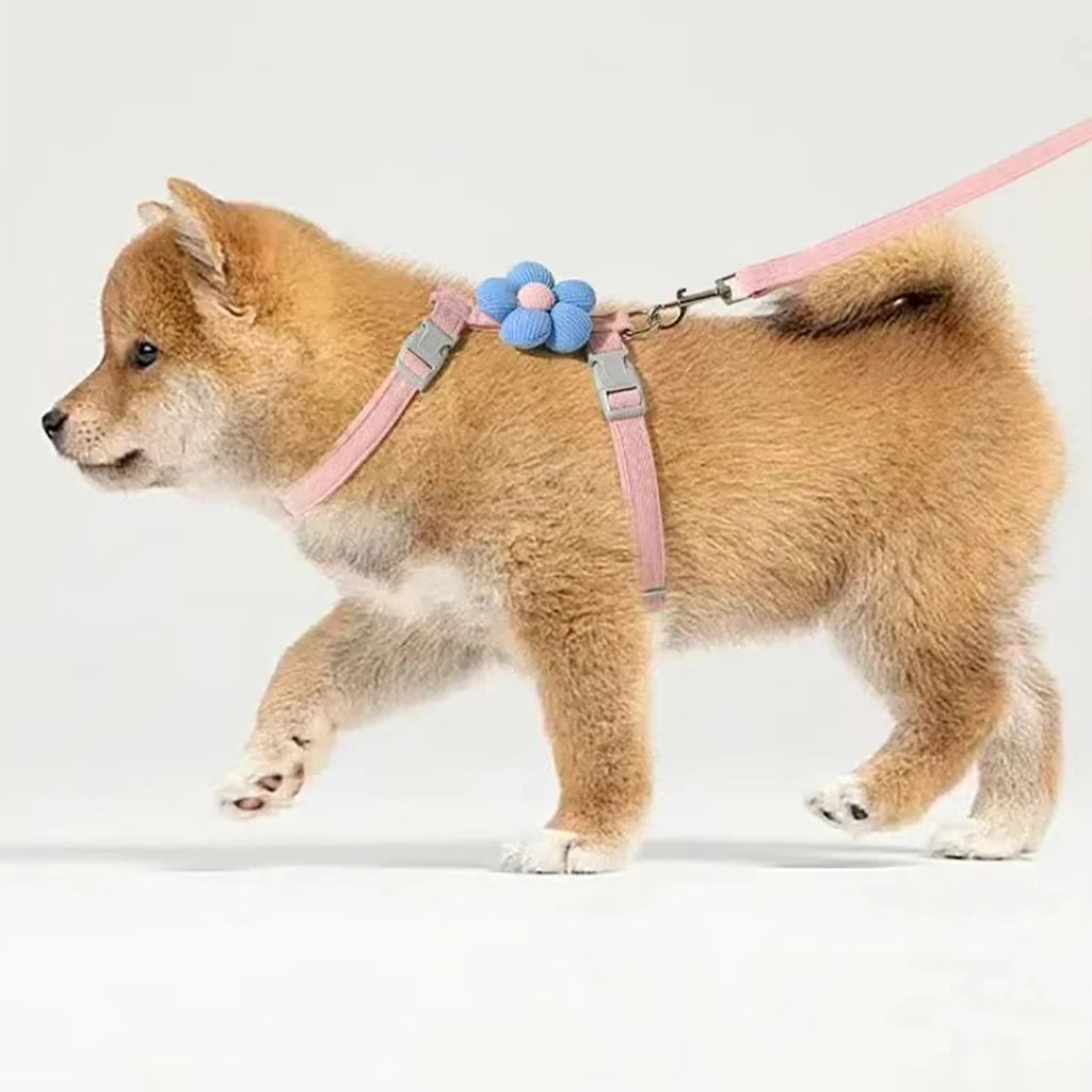 Cat Harness and Leash Sets
