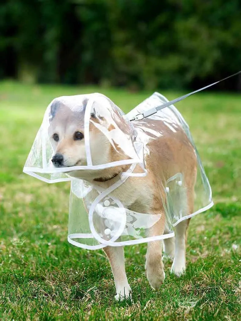 Pet waterproof raincoat with hat