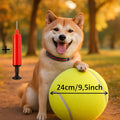 Giant Tennis Ball Pet Toy
