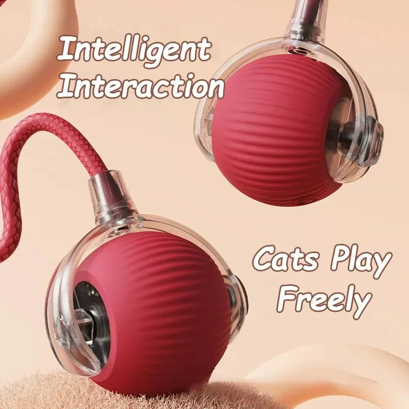 Pet Interactive Ball Toy