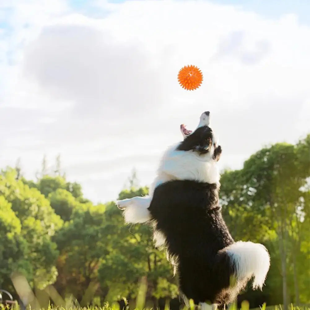 Dog Tooth Cleaning Ball