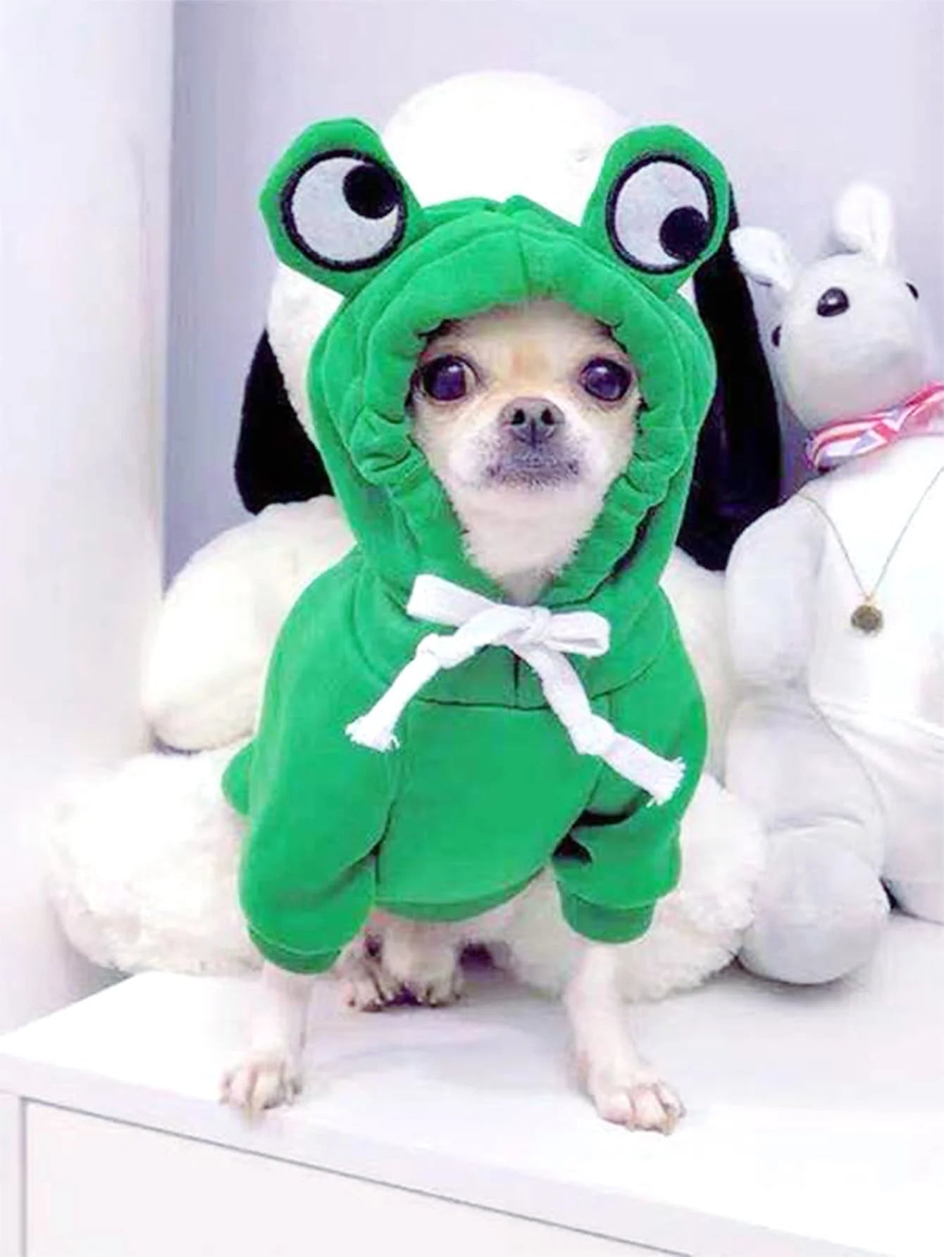 Frog Pet Sweater for Small and Medium Dogs