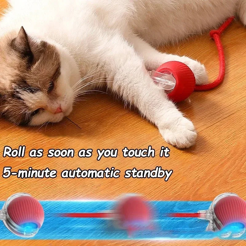 Pet Interactive Ball Toy