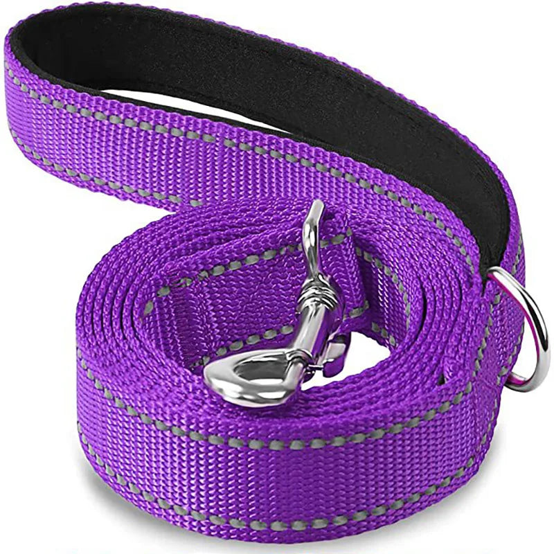 Night Reflection Dog Leash