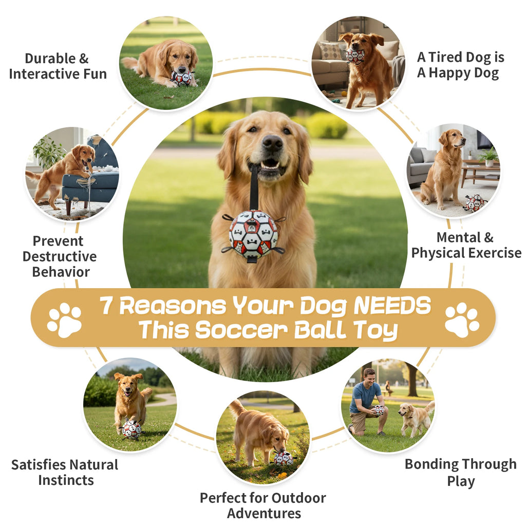 Soccer Ball with Handles Chew Resistant