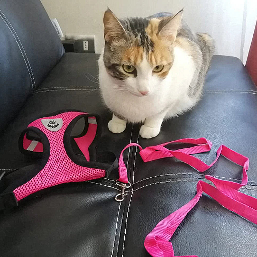 Pet Harness Vest with Lead Leash