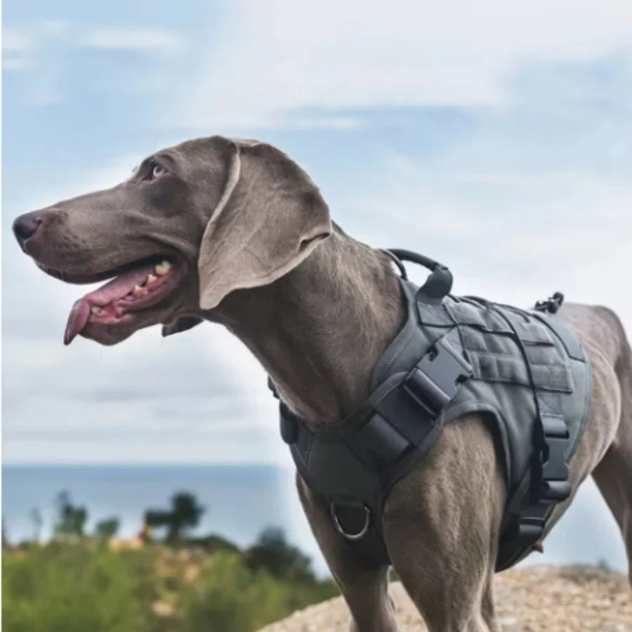 Tactical Dog Harness Leash Collar