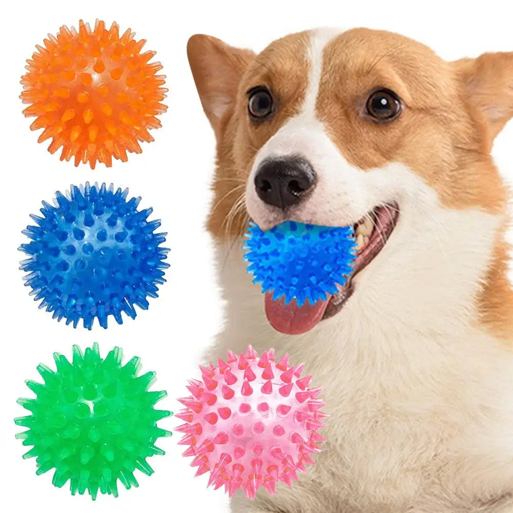 Dog Tooth Cleaning Ball
