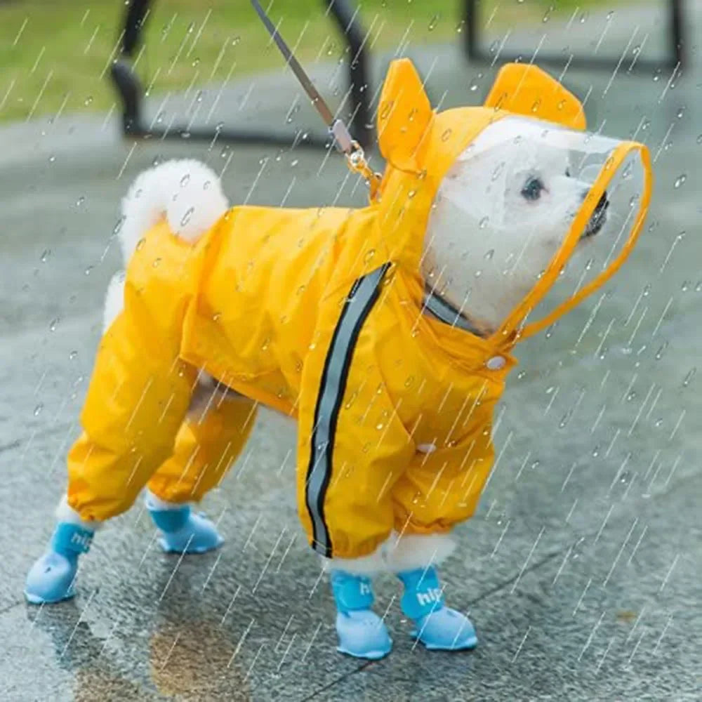 Dog Bear raincoat with Hat
