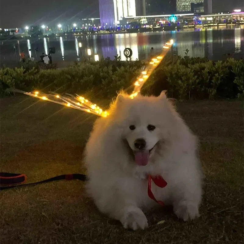 Dog Butterfly Glowing Wings