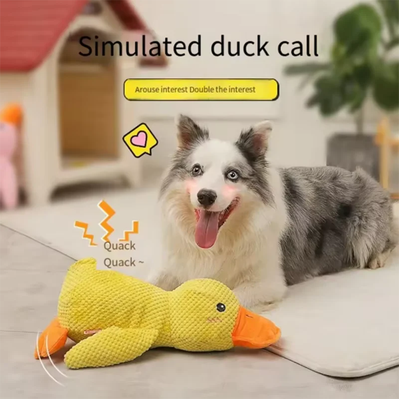 Pet duck toys