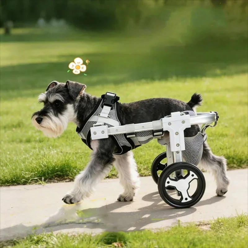 Pet Mobility Aid with Wheels