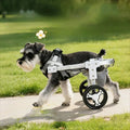 Pet Mobility Aid with Wheels