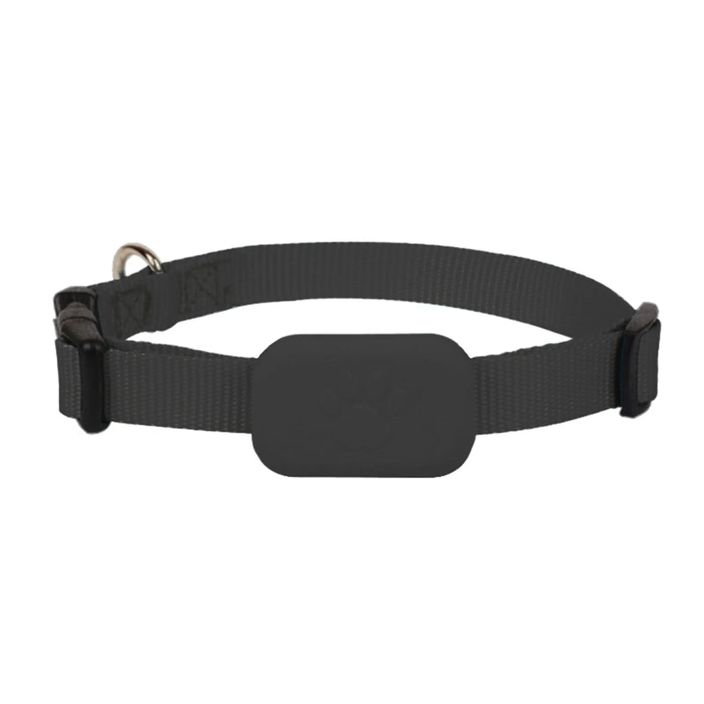 Pet Gps Real-Time Tracking Collar
