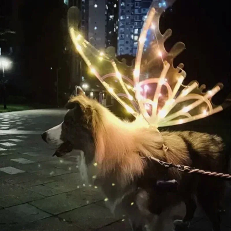 Dog Butterfly Glowing Wings