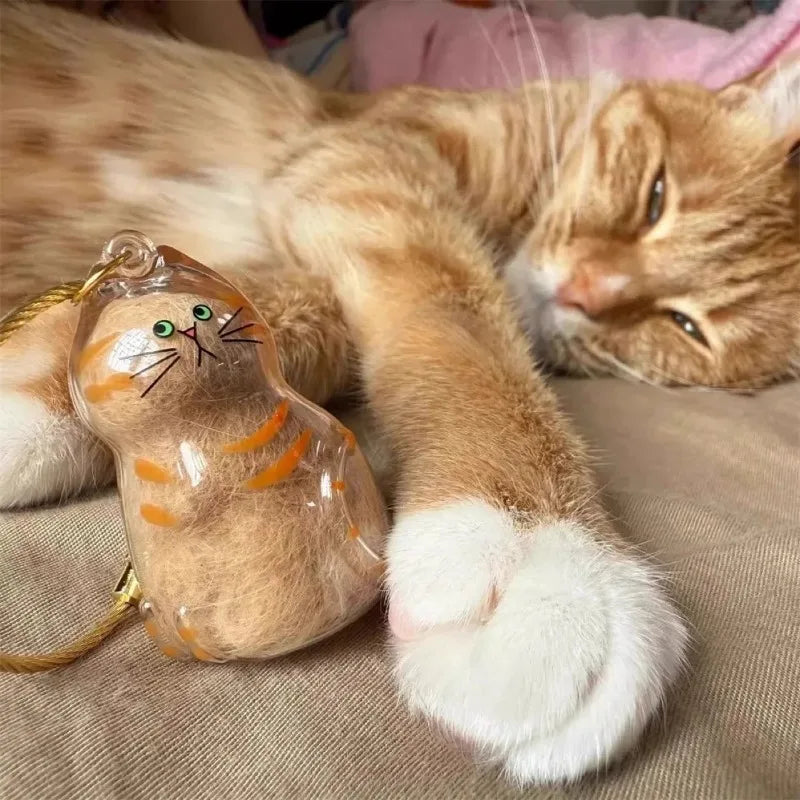Transparent cat hair storage Keepsake