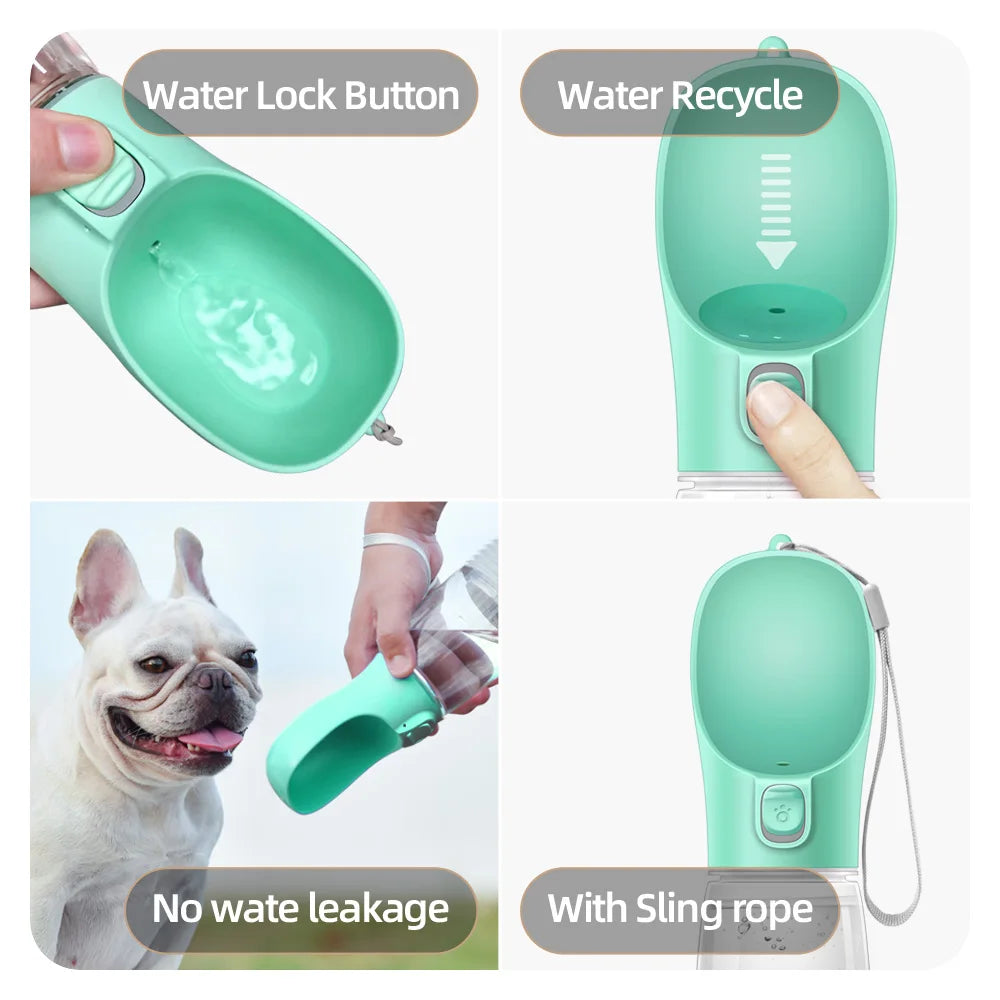 Pet Water Feeder Bowls
