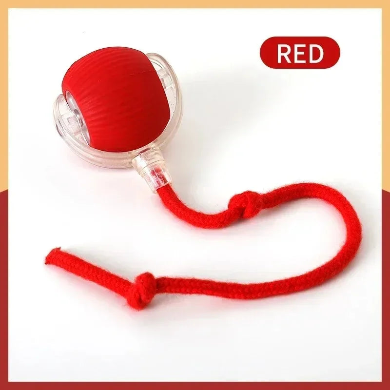 Pet Interactive Ball Toy