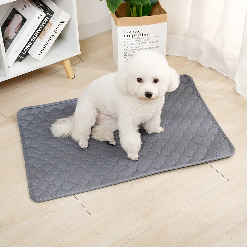 Dog Washable  Absorbent Pee Pad