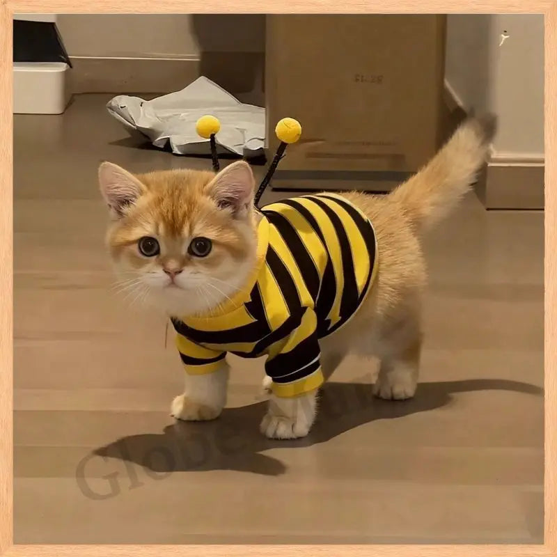 Pet Sweatshirt Bee Design