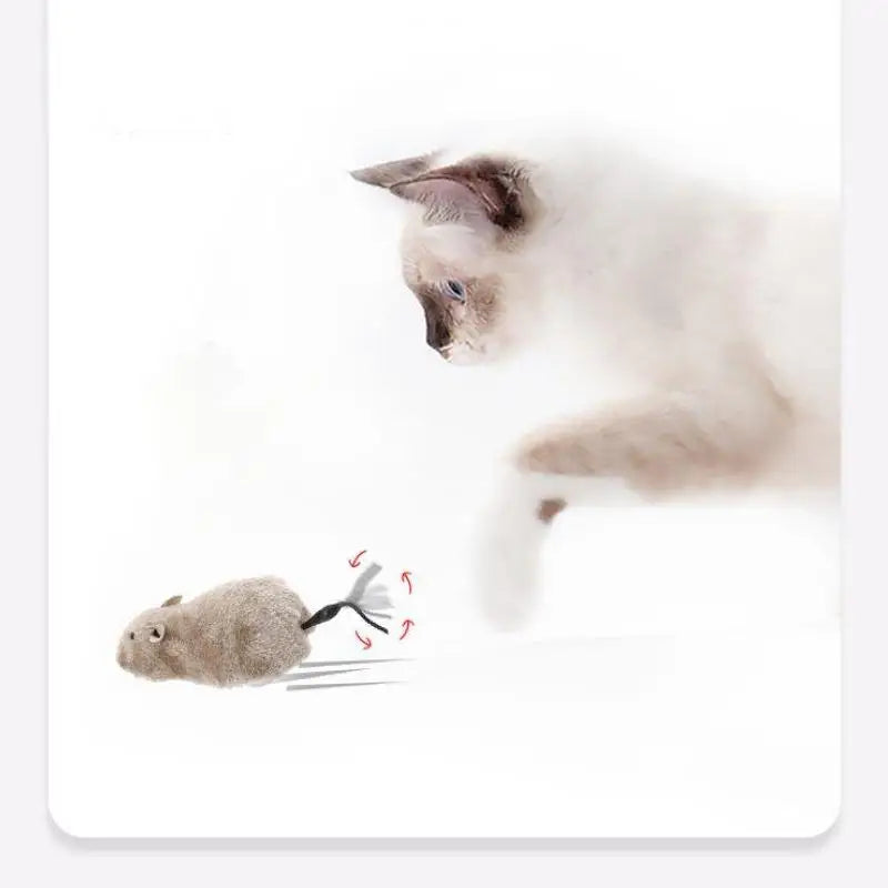 Pet Running Mouse Toy