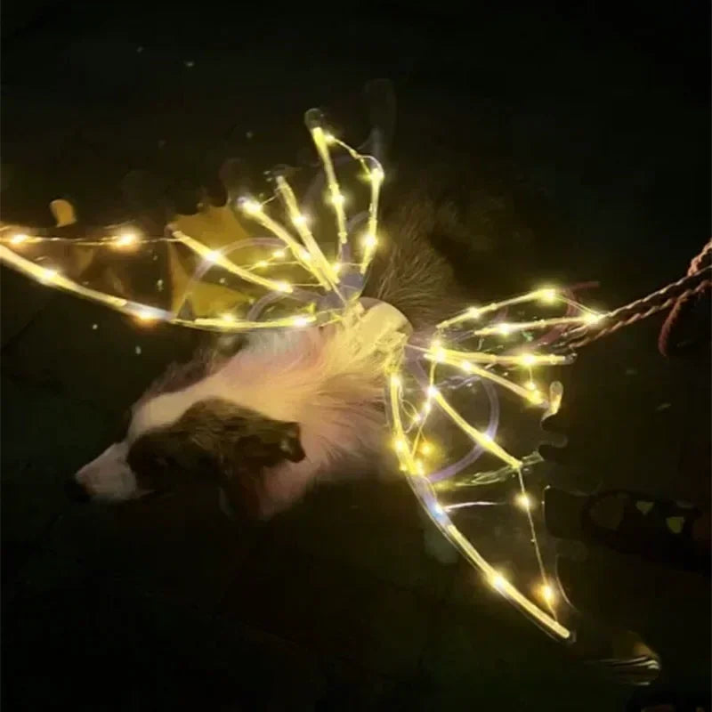 Dog Butterfly Glowing Wings