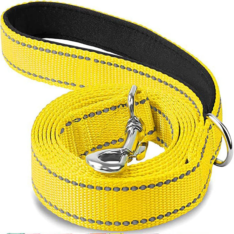 Night Reflection Dog Leash
