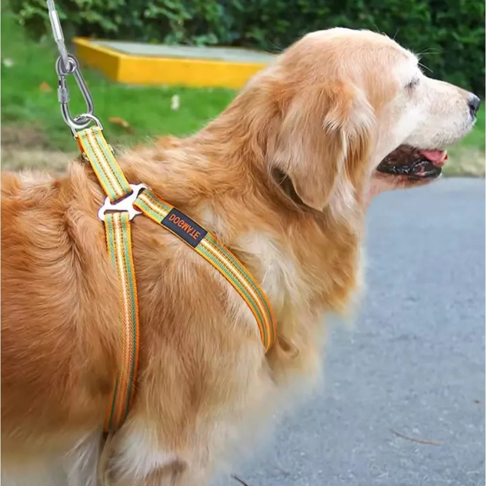 Double-headed Dog Tie Out Cable