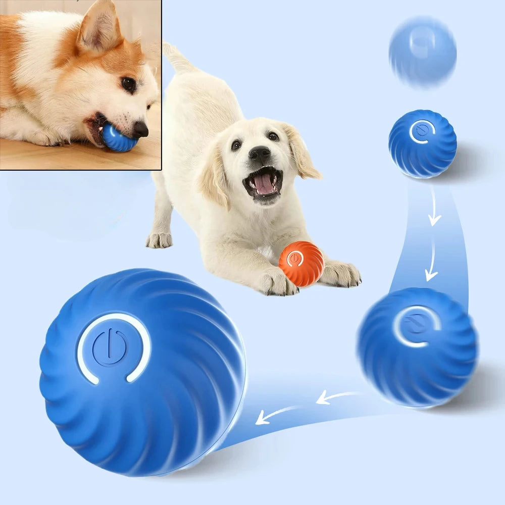Automatic Dog Toy Rolling Ball