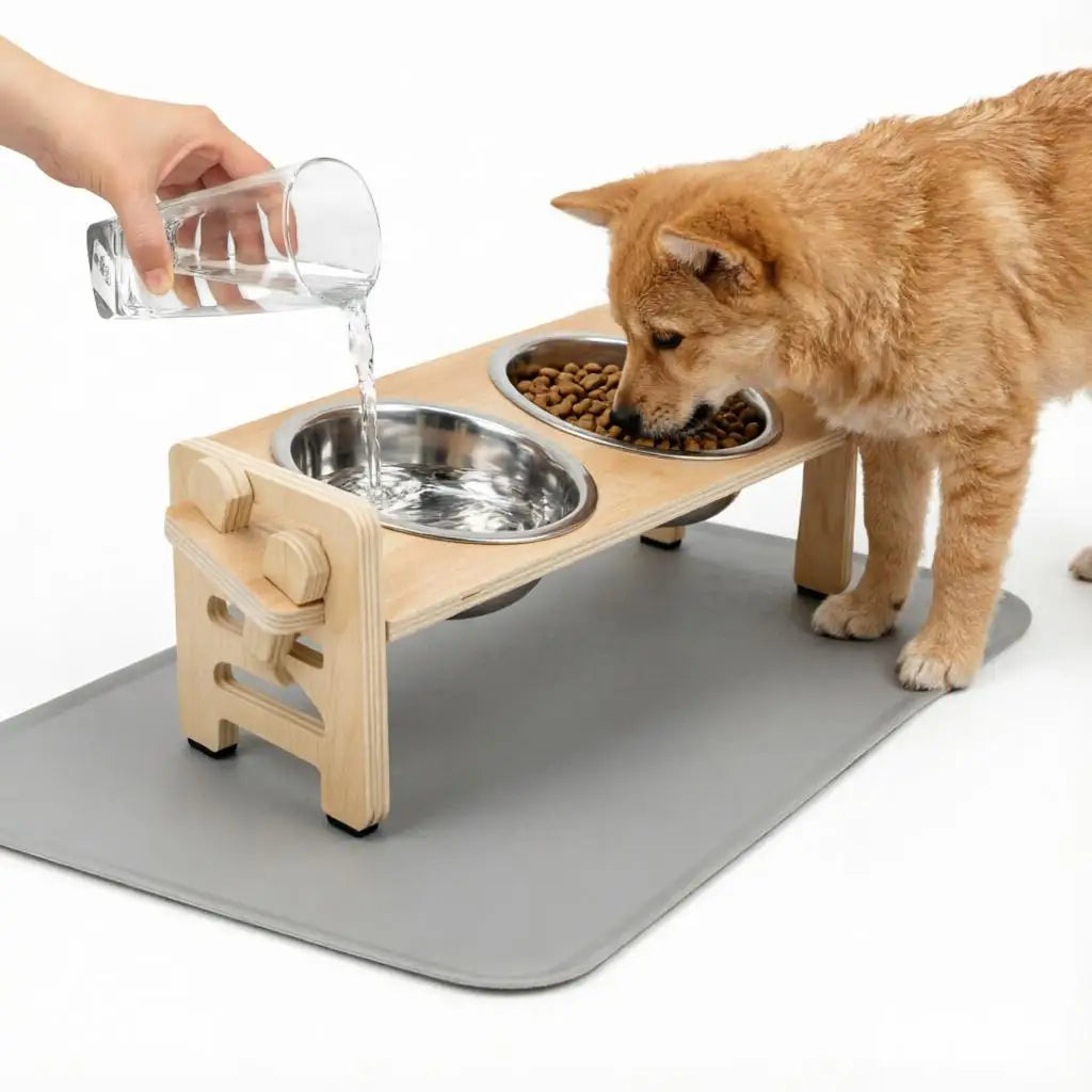 Elevated Pet Dishes Food and Water Feeder
