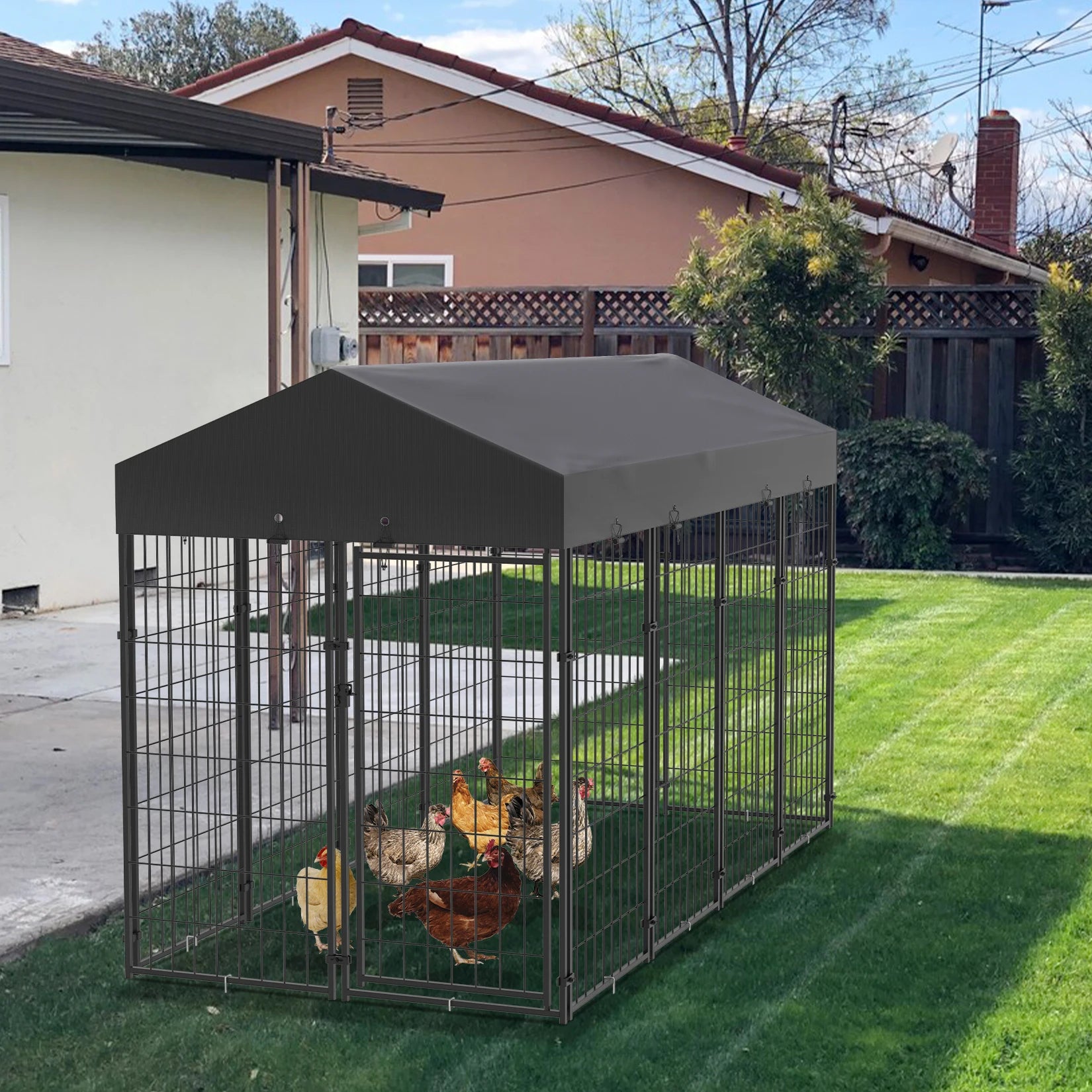 Large Dog Kennel Outdoor