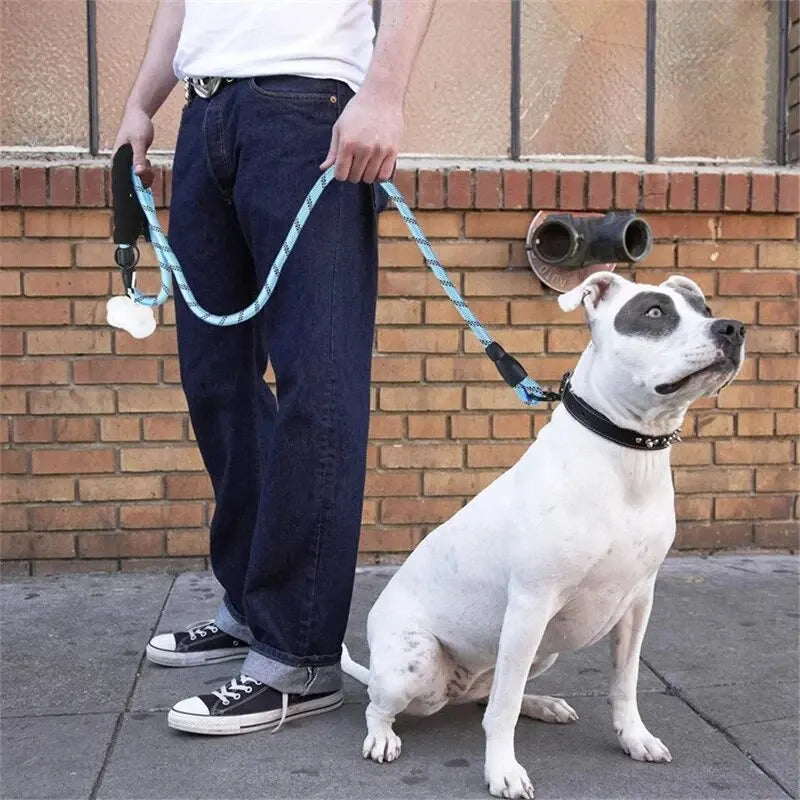 Reflective Dog Leash With Padded Handle -
