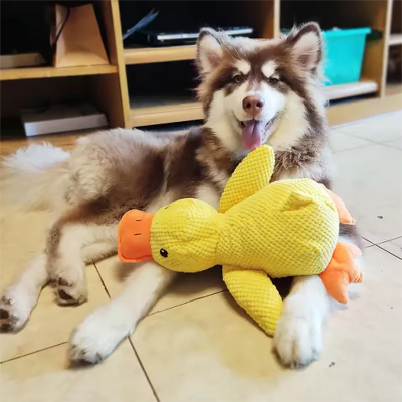 Pet duck toys