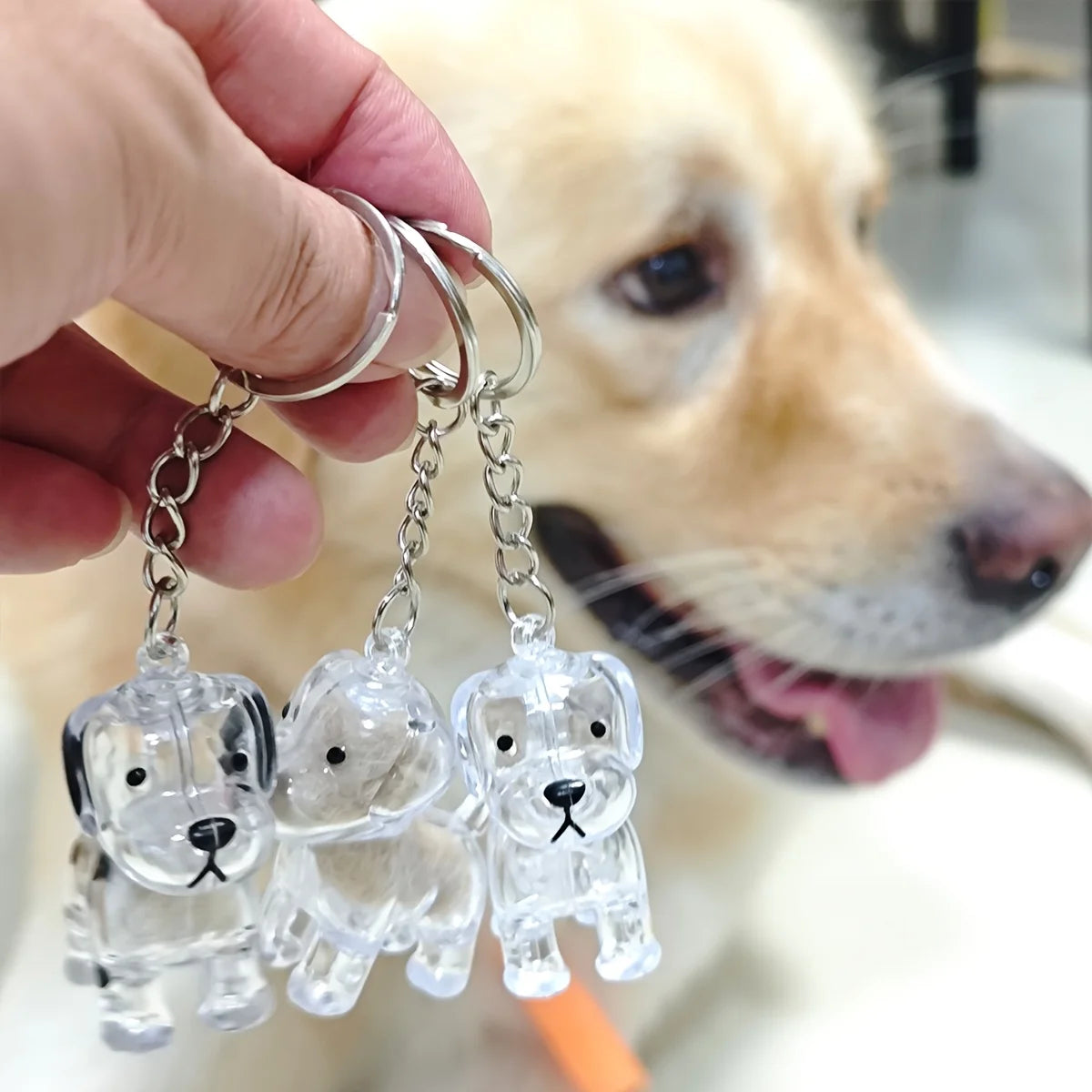 Transparent Pet Keepsake Capsule