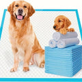 Disposable Dog Training Pads