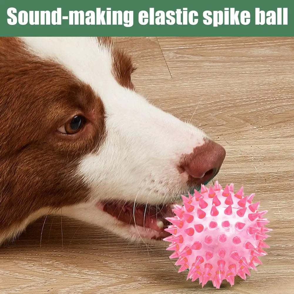 Dog Tooth Cleaning Ball