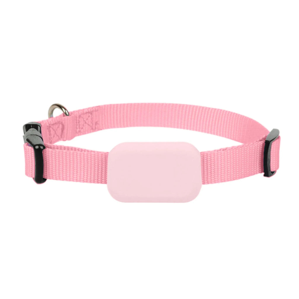 Pet Gps Real-Time Tracking Collar