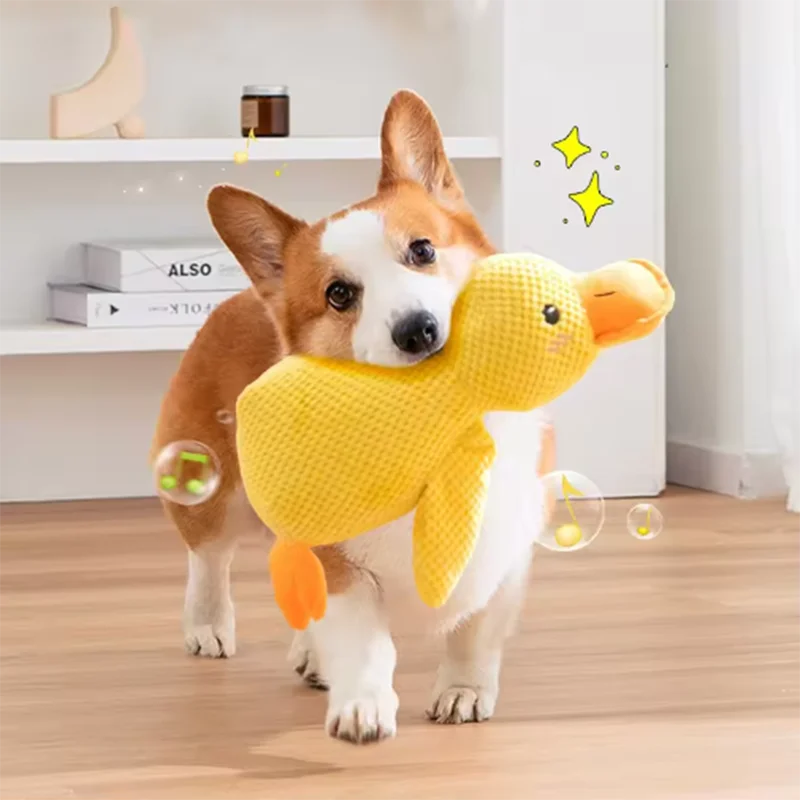 Pet duck toys
