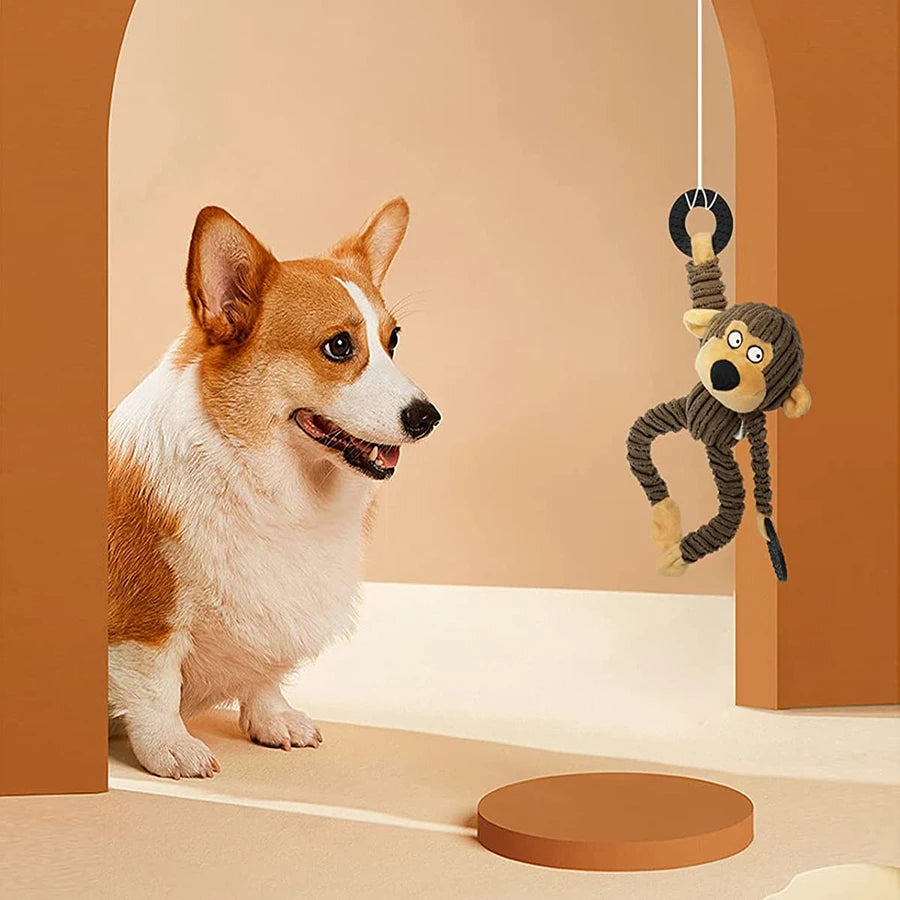 Squeaky Chew Toys