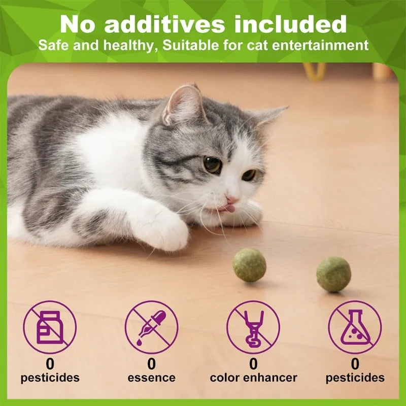 Natural Catnip Balls  Toy