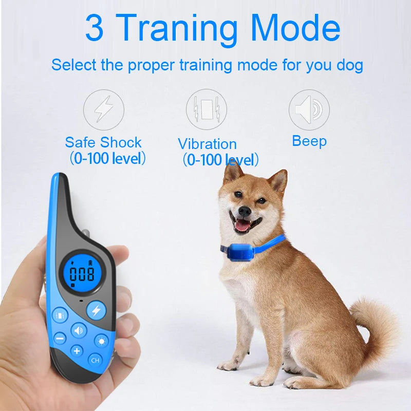 Dog Training Collar with Remote