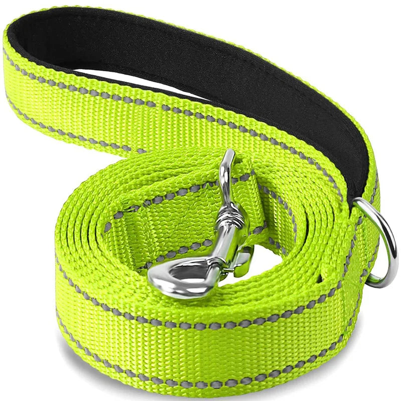 Night Reflection Dog Leash