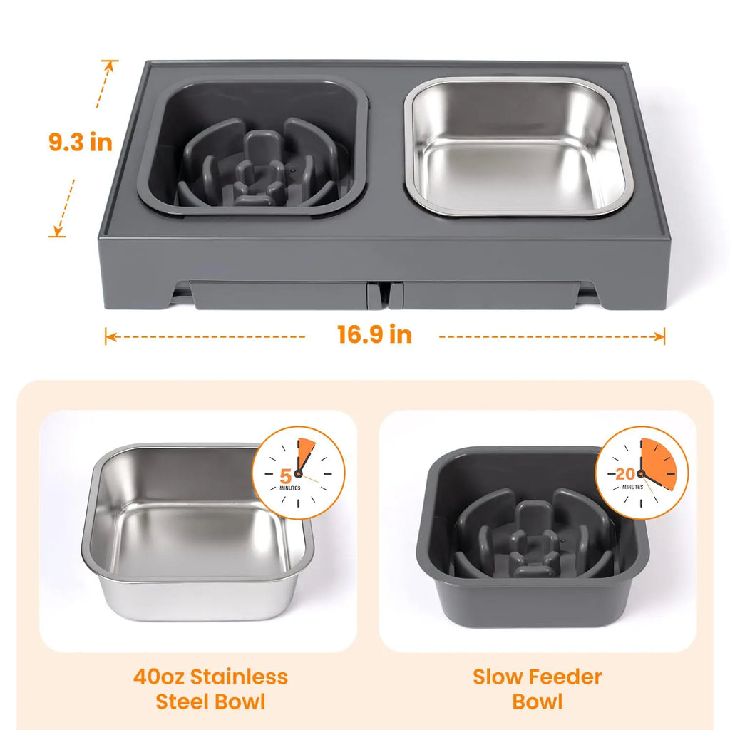 Elevated Slow Feeder Dog Bowls,