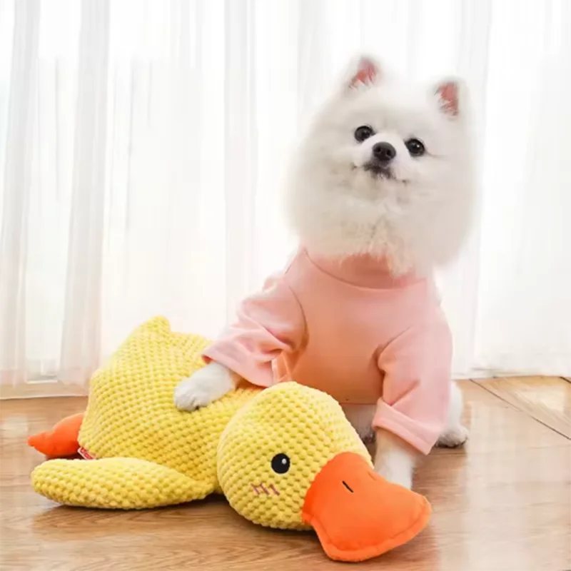 Pet duck toys
