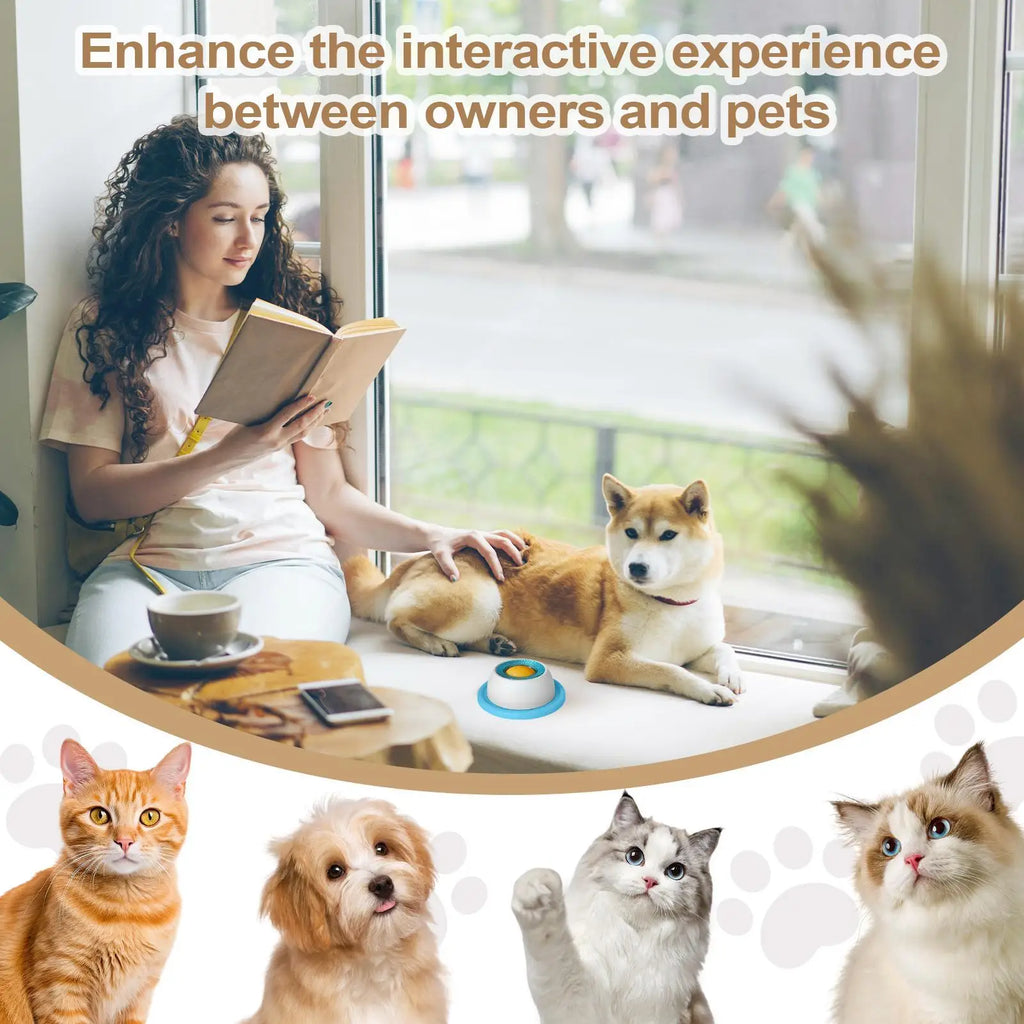 Pet Feeding Treat  Puzzle
