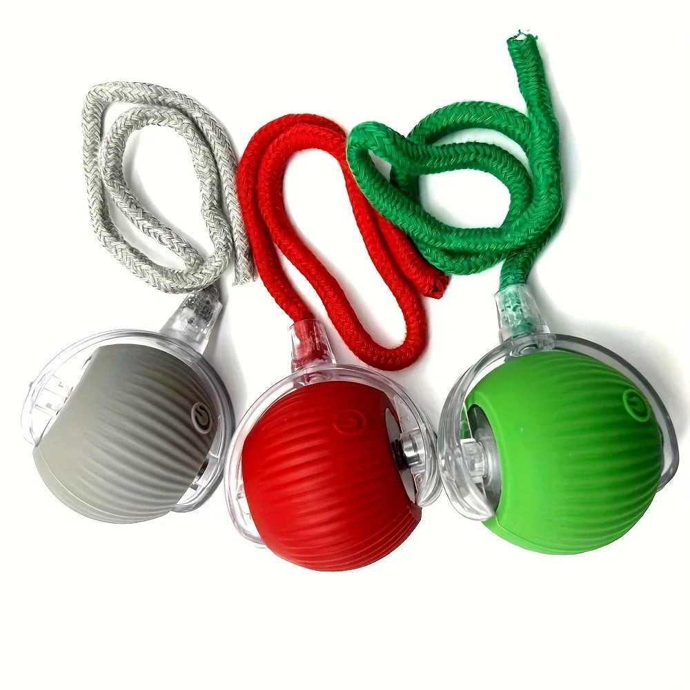 Pet Interactive Ball Toy