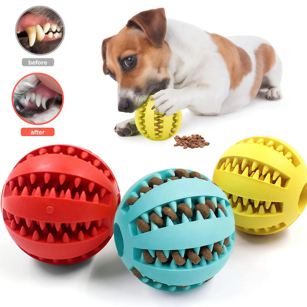 Interactive Dog Toy Ball