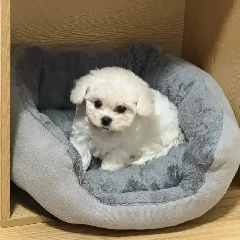 Soft Pet Beds