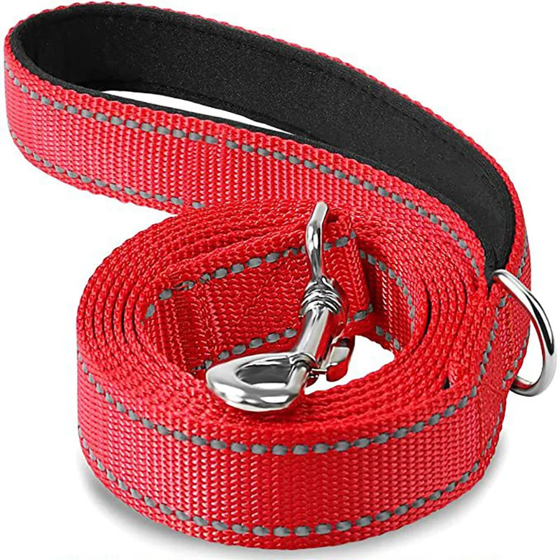 Night Reflection Dog Leash